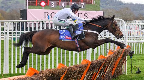 cheltenham festival 2023 tips